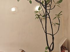 -小团圆糖水铺(襄阳南路店)