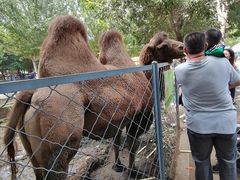 -长白岛森林公园