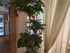 -沐森 •疗愈头疗馆(打浦桥店)