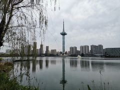 -聚龙湖公园