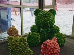 -多乐美地滑雪场