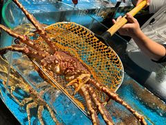 -徐记海鲜(南油永新汇店)