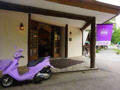 -富田农场