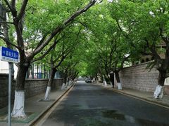 -八大关景区