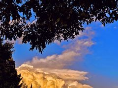 -三江源活鱼现烤(维多利摩尔城店)