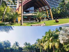 -三亚湾海居铂尔曼度假酒店