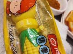 -海底捞火锅(高科东路店)