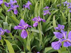 -汉长安城未央宫国家考古遗址公园