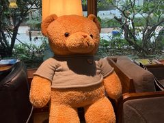 -咖法森林·咖啡  酒吧(天河店)