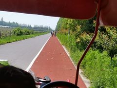 -上海长兴岛郊野公园