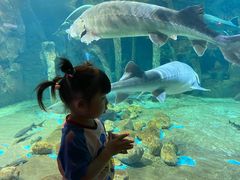 -华夏文旅海洋公园