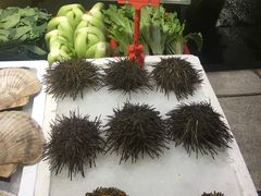 -蚝专家(北滘店)