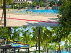 -重庆海昌加勒比海水世界