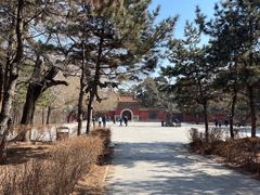 -北陵公园