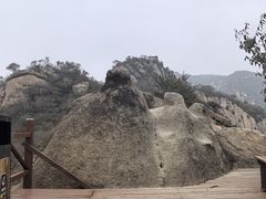 -大岭沟猕猴桃谷风景区