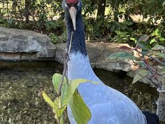 -云南野生动物园