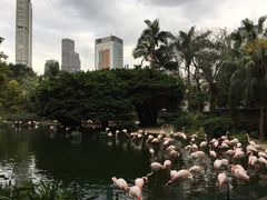 -九龙公园