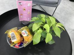 点击看大图 -索菲医疗整形美容