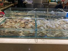 水产区-怡乡王品海鲜姿造自助体验餐厅(大岛商业广场店)