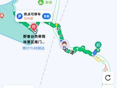-野象谷景区
