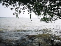 -宝安西湾红树林湿地公园