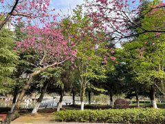 -白塘生态植物园