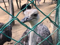 -大连铭湖国际观光牧场