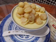 双皮奶-捷信牛奶甜品世家(五道口店)