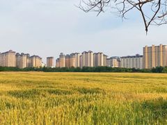 -汉长安城未央宫国家考古遗址公园