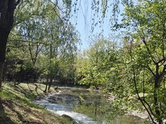 -长白岛森林公园