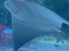 -沈阳海洋探索中心