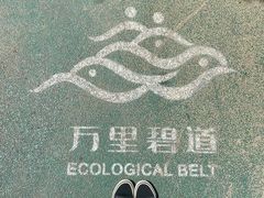 -芒洲湿地公园