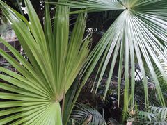 -石家庄市植物园