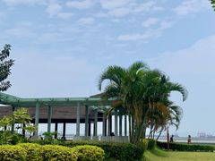 -大湾区中央湿地公园