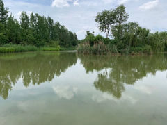 -白鹭湾湿地公园