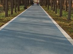 -昆山城市生态森林公园