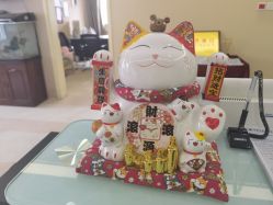 -成都西区医院整形美容