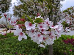 -上海山野camping·户外天幕烧烤·团建拓展营地