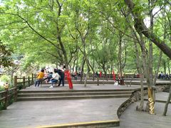 -东海大峡谷