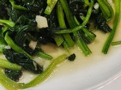 清炒时蔬—鸡毛菜-徽御楼(南中环店)