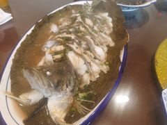 -呼吸森林·生态农庄农家乐私房菜