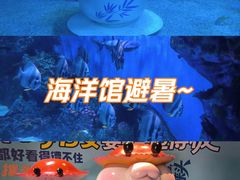 -海合安成都极地海洋公园