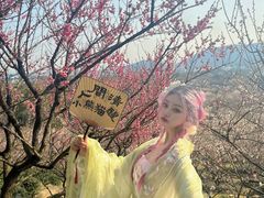 -香雪海
