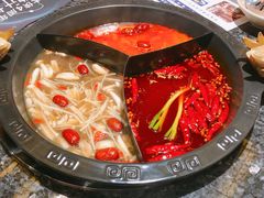 奔驰锅-蜀大侠·牛肉自助火锅(慈溪店)
