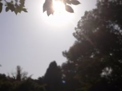 -汇龙潭