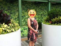 -星光大道