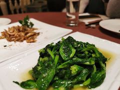 -东方明珠老上海8号餐厅(东方明珠广播电视塔店)