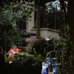 -琥珀婚礼策划AMBER WEDDING