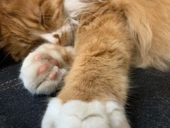 -吉派索自家烘焙咖啡馆(千佛山店)