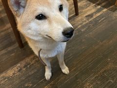 -三目仓咖啡(贤南路店)